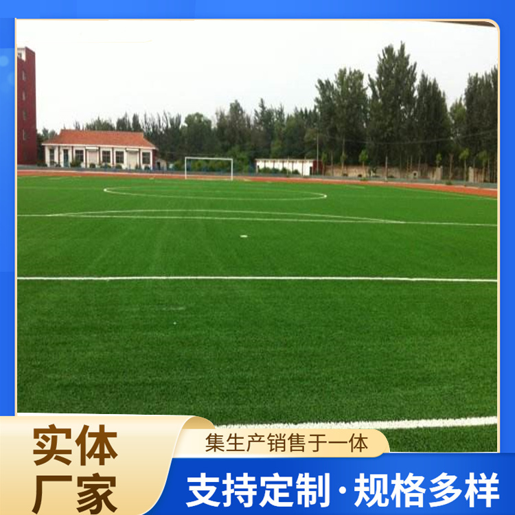 信阳市橡胶跑道人造草坪 - 推荐